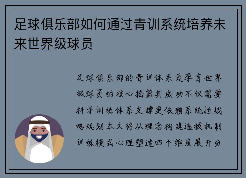 足球俱乐部如何通过青训系统培养未来世界级球员