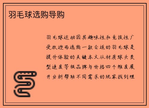 羽毛球选购导购